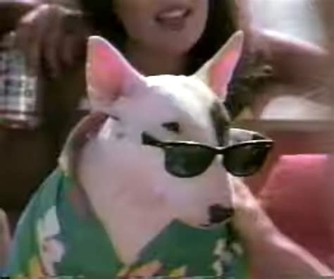 spuds mackenzie dog|what kind of dog was spuds mackenzie.